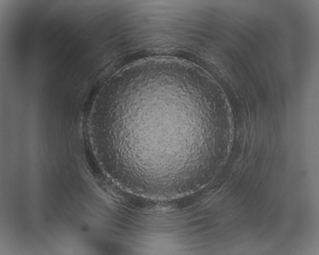 X0000070220647200606021322