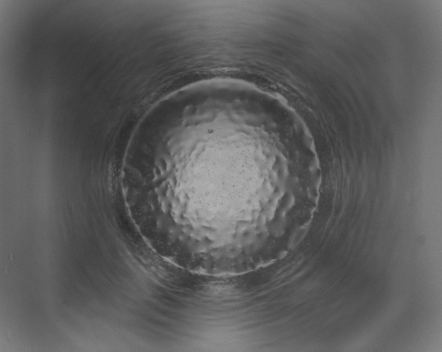 X0000070220651200606021322