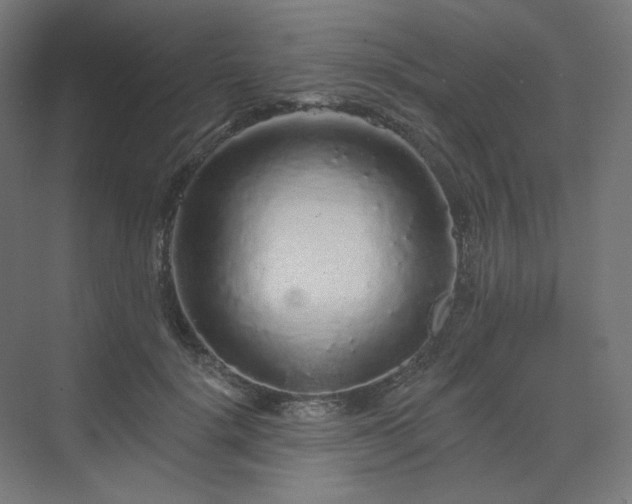 X0000070220652200606021322
