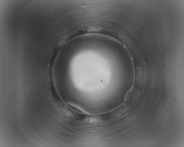 X0000070220655200606021322