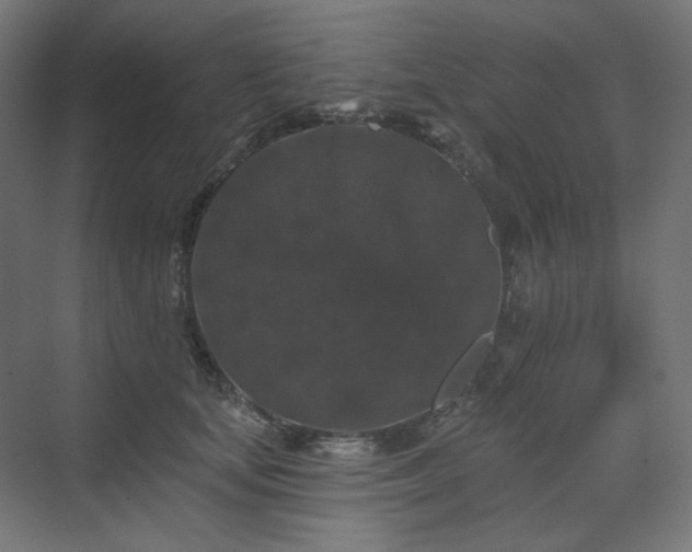 X0000070220659200606021322