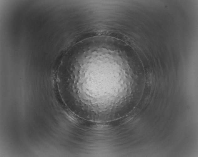 X0000070220664200606021323