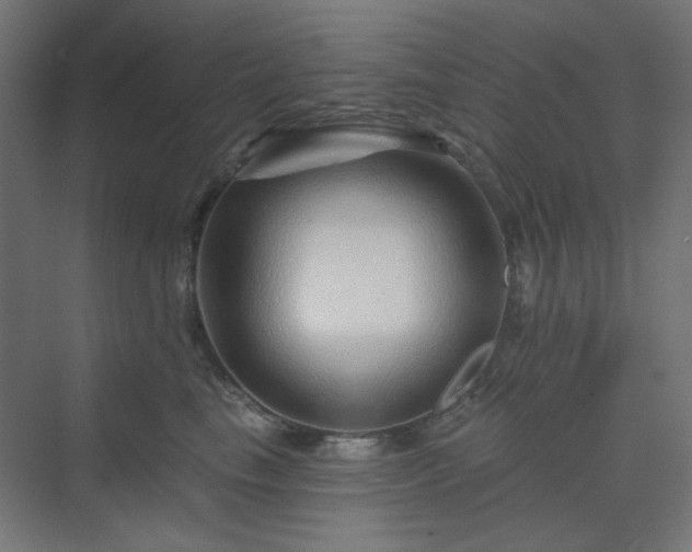 X0000070220665200606021323