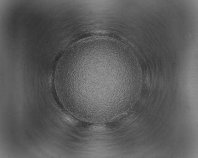 X0000070220668200606021323
