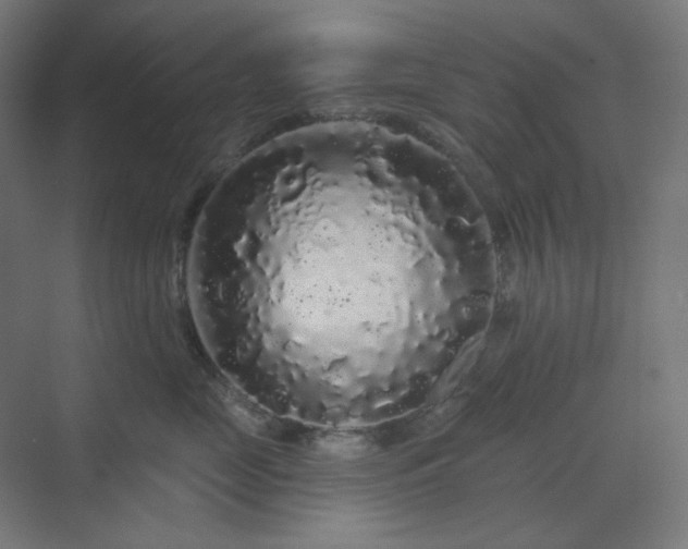 X0000070220669200606021323