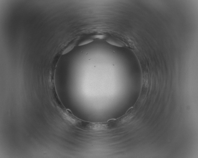 X0000070220670200606021323