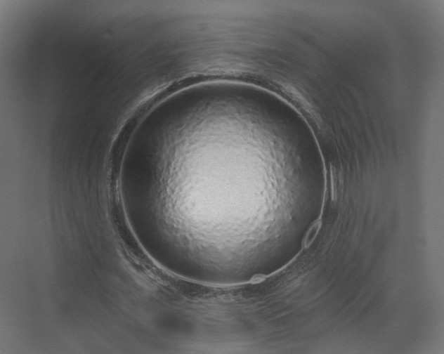 X0000070220675200606021322