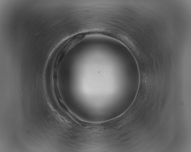 X0000070220676200606021322