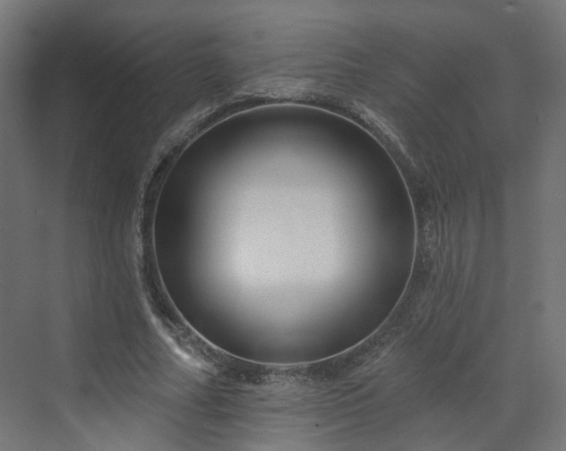 X0000070220682200606021322