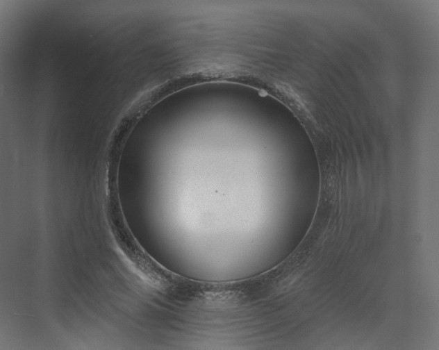 X0000070220686200606021322