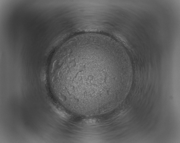 X0000070220687200606021322