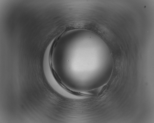 X0000070220697200606021321