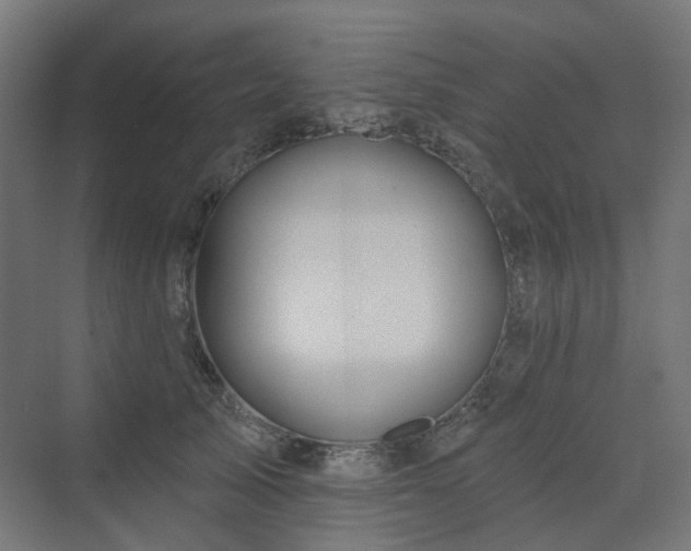 X0000070220705200606021321