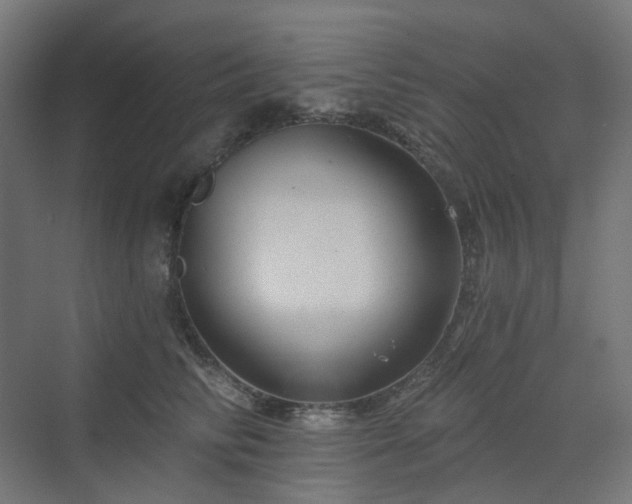 X0000070220710200606021321