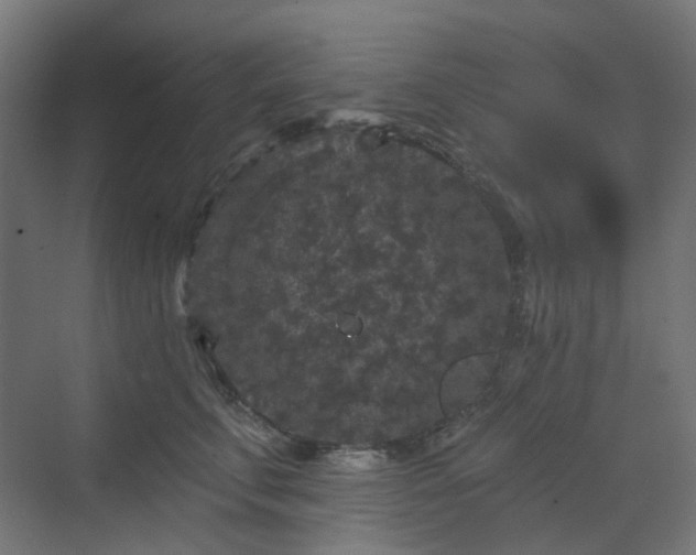 X0000070220711200606021321