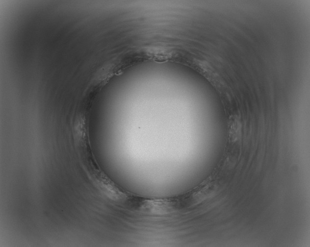 X0000070220713200606021321