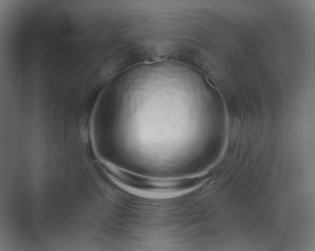 X0000070220719200606021321