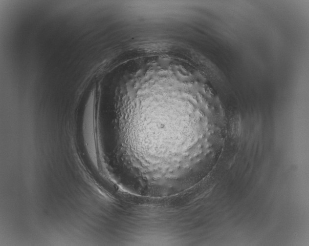 X0000070220733200606021320