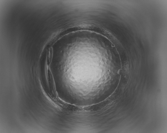 X0000070220734200606021320