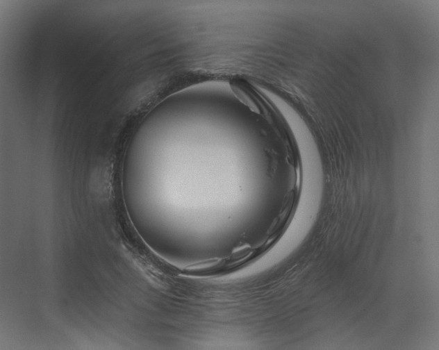 X0000070220735200606021320