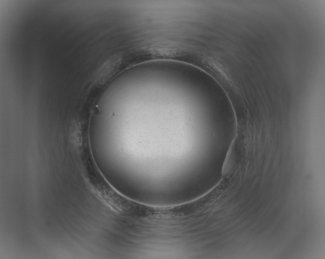 X0000070220738200606021321