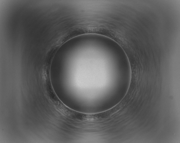 X0000070220746200606021321