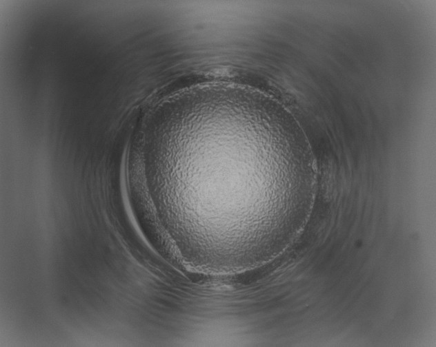 X0000070220747200606021321