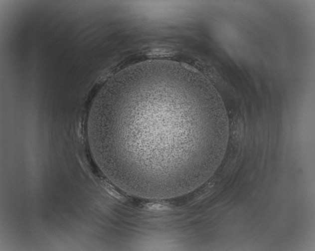 X0000070220755200606021321