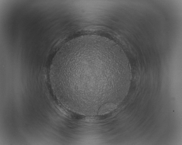 X0000070220758200606021321