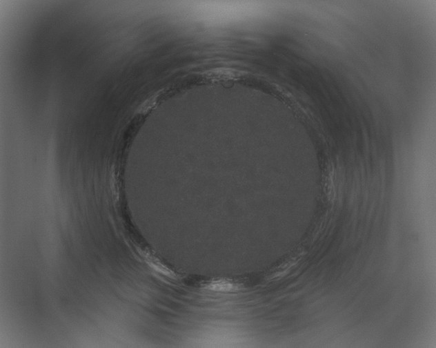 X0000070220759200606021321