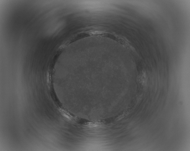 X0000070220763200606021321