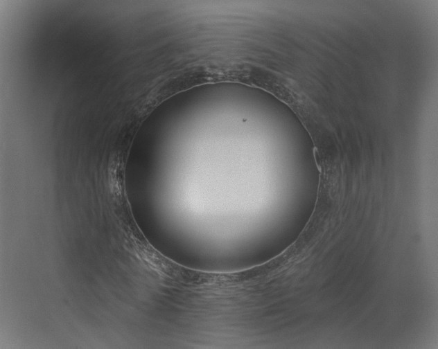 X0000070220770200606021320