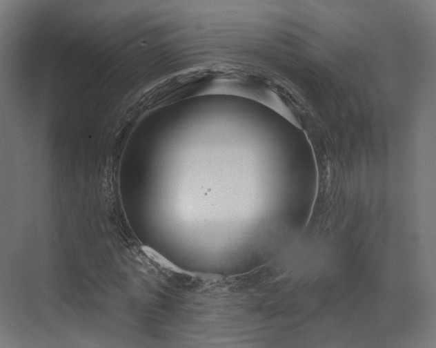 X0000070220773200606021320