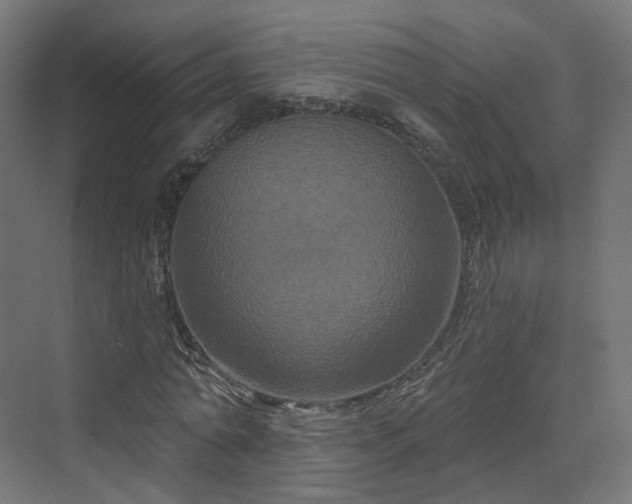 X0000070220774200606021320