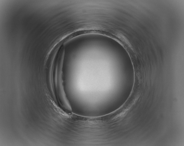 X0000070220781200606021320