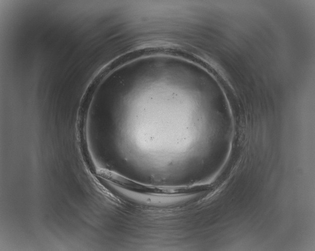 X0000070220783200606021320
