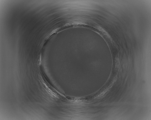 X0000070220785200606021320