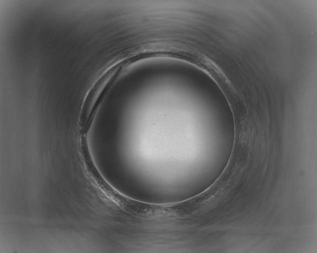 X0000070220786200606021320