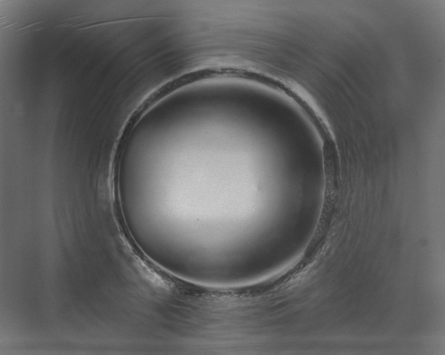 X0000070220791200606021320