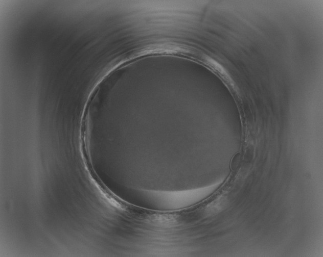 X0000070220802200606021320