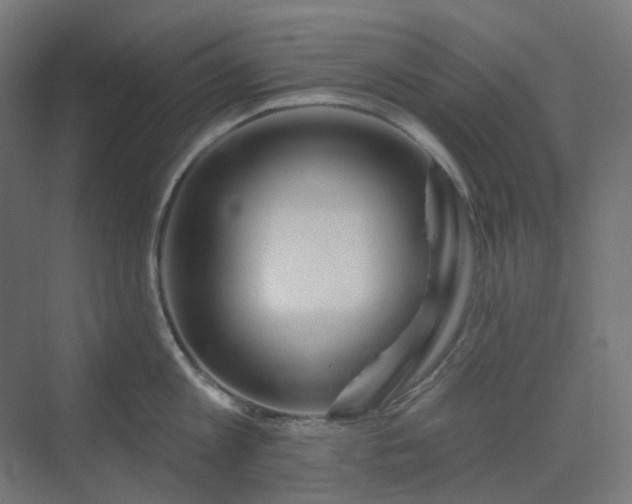 X0000070220813200606021319