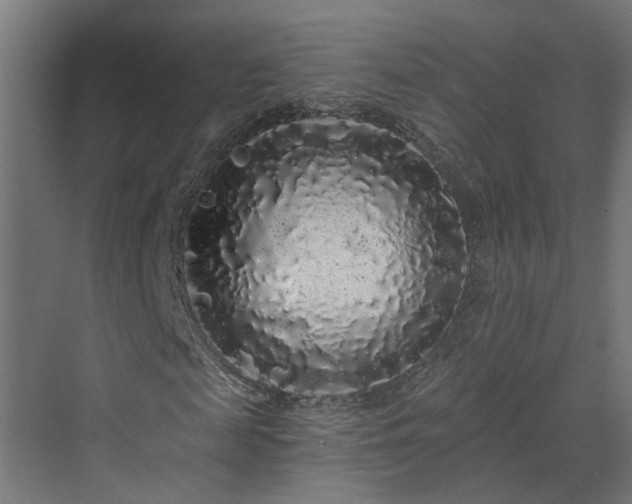 X0000070220817200606021319