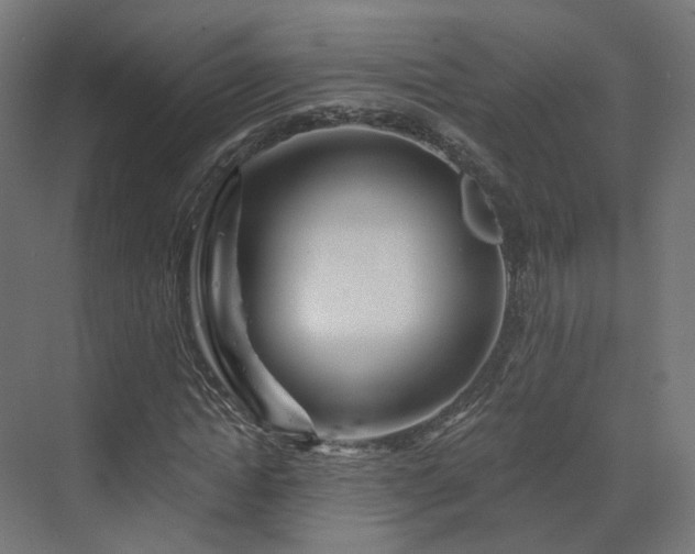 X0000070220822200606021319