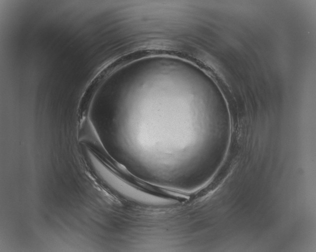 X0000070220829200606021319