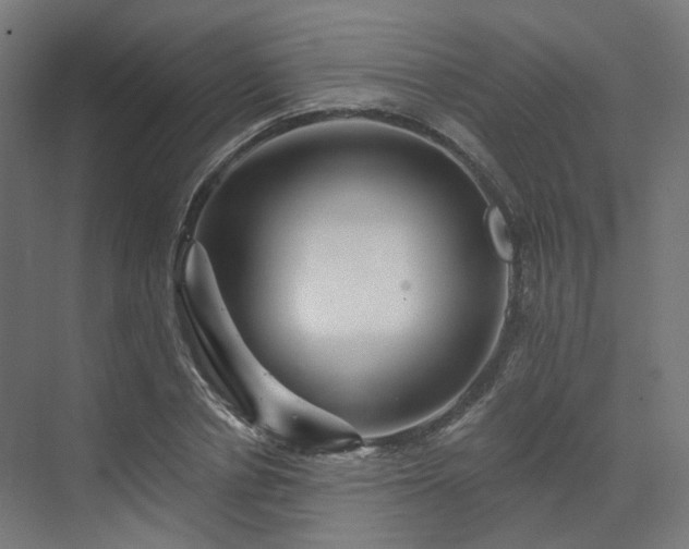 X0000070220834200606021319