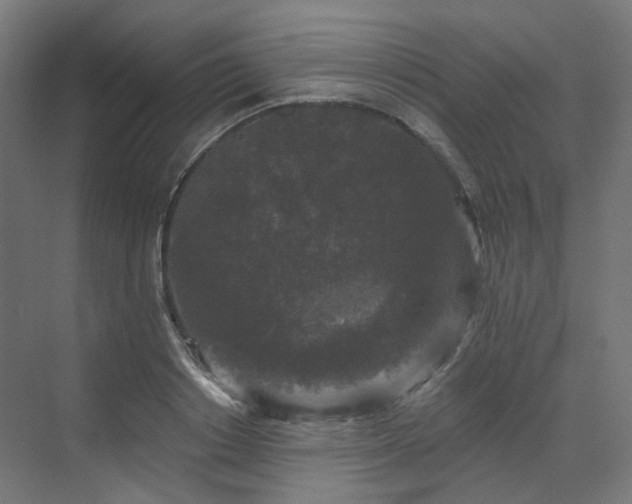 X0000070220842200606021319