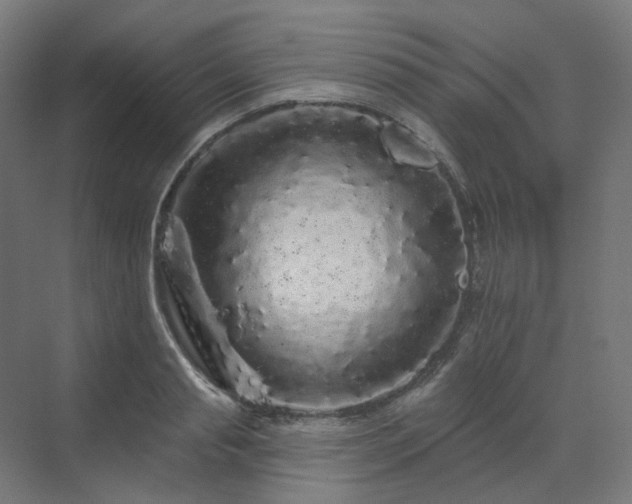 X0000070220845200606021319