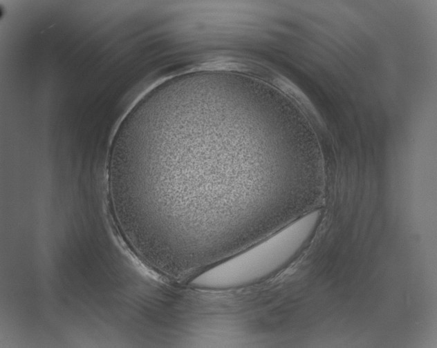 X0000070220852200606021319