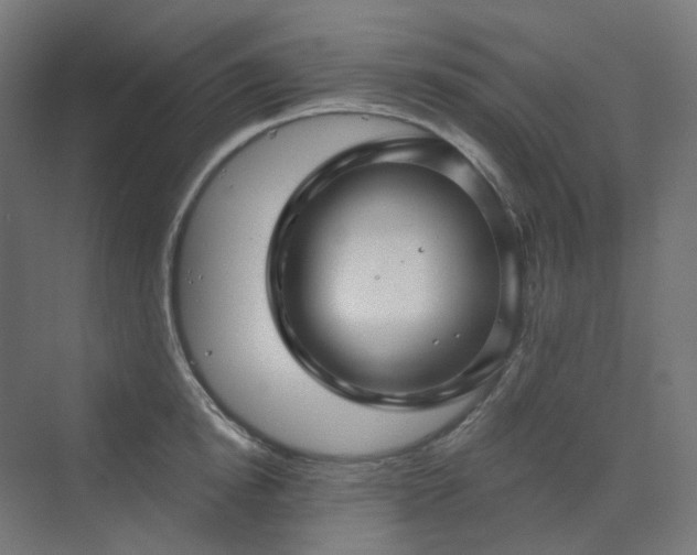 X0000070220854200606021319