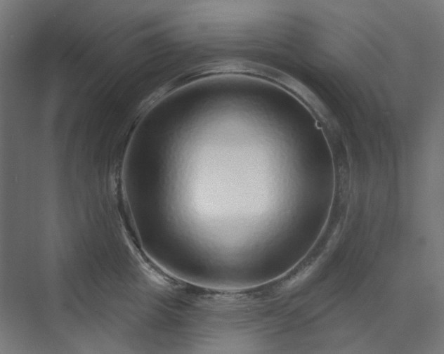 X0000070220857200606021319